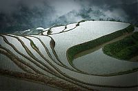 World & Travel: paddy fields, rice terraces