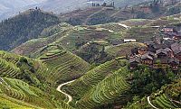 World & Travel: paddy fields, rice terraces