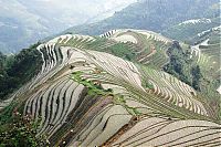 World & Travel: paddy fields, rice terraces