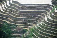 World & Travel: paddy fields, rice terraces