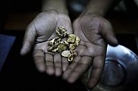 TopRq.com search results: Gold rush, Peruvian Amazon, Madre de Dios, Peru