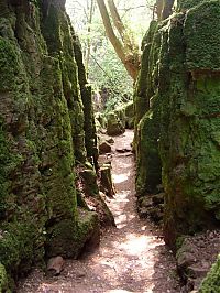 World & Travel: Puzzlewood, Coleford in the Forest of Dean, Gloucestershire, England, United Kingdom