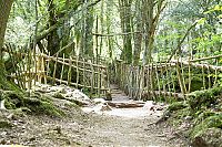 TopRq.com search results: Puzzlewood, Coleford in the Forest of Dean, Gloucestershire, England, United Kingdom