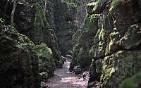 World & Travel: Puzzlewood, Coleford in the Forest of Dean, Gloucestershire, England, United Kingdom