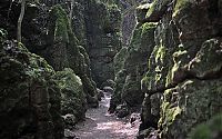 TopRq.com search results: Puzzlewood, Coleford in the Forest of Dean, Gloucestershire, England, United Kingdom