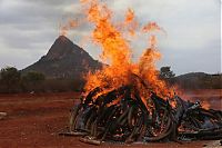 World & Travel: Ivory tusks burned, Kenya