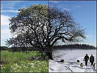 World & Travel: summer vs. winter photo