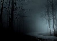 World & Travel: fog forest