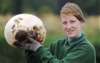 World & Travel: giant mushroom