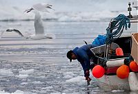 TopRq.com search results: Greenland