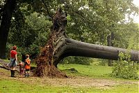 World & Travel: Hurricane Irene 2011, Atlantic, Caribbean