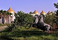 TopRq.com search results: Rebels inside Muammar Muhammad al-Gaddafi villas, Libya