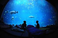 TopRq.com search results: Georgia Aquarium, Pemberton Place, Atlanta, Georgia, United States