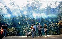 World & Travel: Georgia Aquarium, Pemberton Place, Atlanta, Georgia, United States