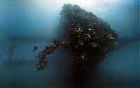 TopRq.com search results: Fujikawa Maru, Truk Lagoon, Chuuk, Pacific, North of New Guinea