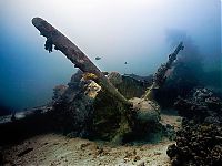 TopRq.com search results: Fujikawa Maru, Truk Lagoon, Chuuk, Pacific, North of New Guinea