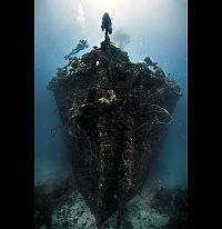 TopRq.com search results: Fujikawa Maru, Truk Lagoon, Chuuk, Pacific, North of New Guinea