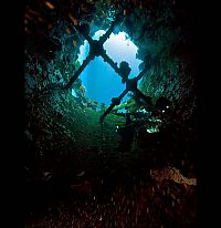 TopRq.com search results: Fujikawa Maru, Truk Lagoon, Chuuk, Pacific, North of New Guinea