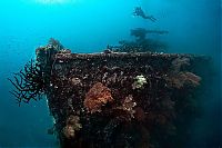 TopRq.com search results: Fujikawa Maru, Truk Lagoon, Chuuk, Pacific, North of New Guinea