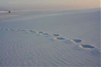 TopRq.com search results: Lençóis Maranhenses National Park, Maranhão, Brazil
