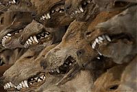 World & Travel: National Geographic Photography