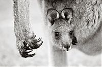 National Geographic Photography