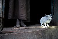 National Geographic Photography