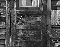 World & Travel: History: The Great Depression by Dorothea Lange, 1939-1943, United States