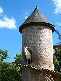 World & Travel: The Goat Tower, Fairview Wine and Cheese farm, Paarl winelands of South Africa