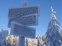 winter photography