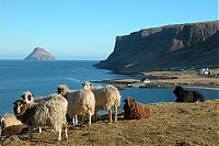 World & Travel: Lítla Dímun, Faroe Islands, Norwegian Sea