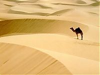 TopRq.com search results: desert sand dunes landscape photography