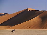 TopRq.com search results: desert sand dunes landscape photography