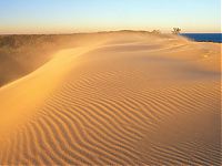 TopRq.com search results: desert sand dunes landscape photography