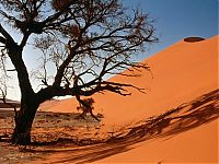 World & Travel: desert sand dunes landscape photography