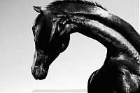 National Geographic Photography