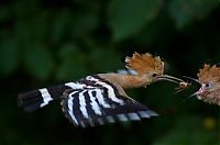 National Geographic Photography