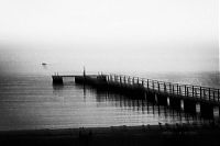 TopRq.com search results: fog photography