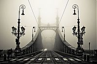 fog photography