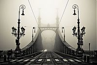 World & Travel: fog photography