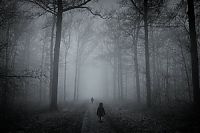 fog photography