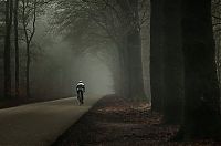 World & Travel: fog photography