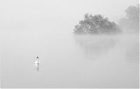 TopRq.com search results: fog photography