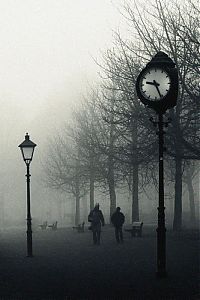TopRq.com search results: fog photography