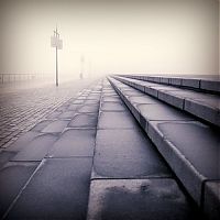 World & Travel: fog photography