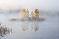 World & Travel: fog photography