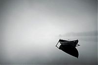 TopRq.com search results: fog photography