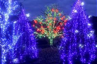 TopRq.com search results: Christmas decoration with 1.2 million lights by Zlatko Salaj, Grabovinca, Croatia