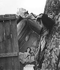 TopRq.com search results: History: Paris in 1940-50s, France by Robert Doisneau