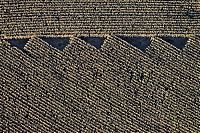 World & Travel: bird's-eye view aerial landscape photography